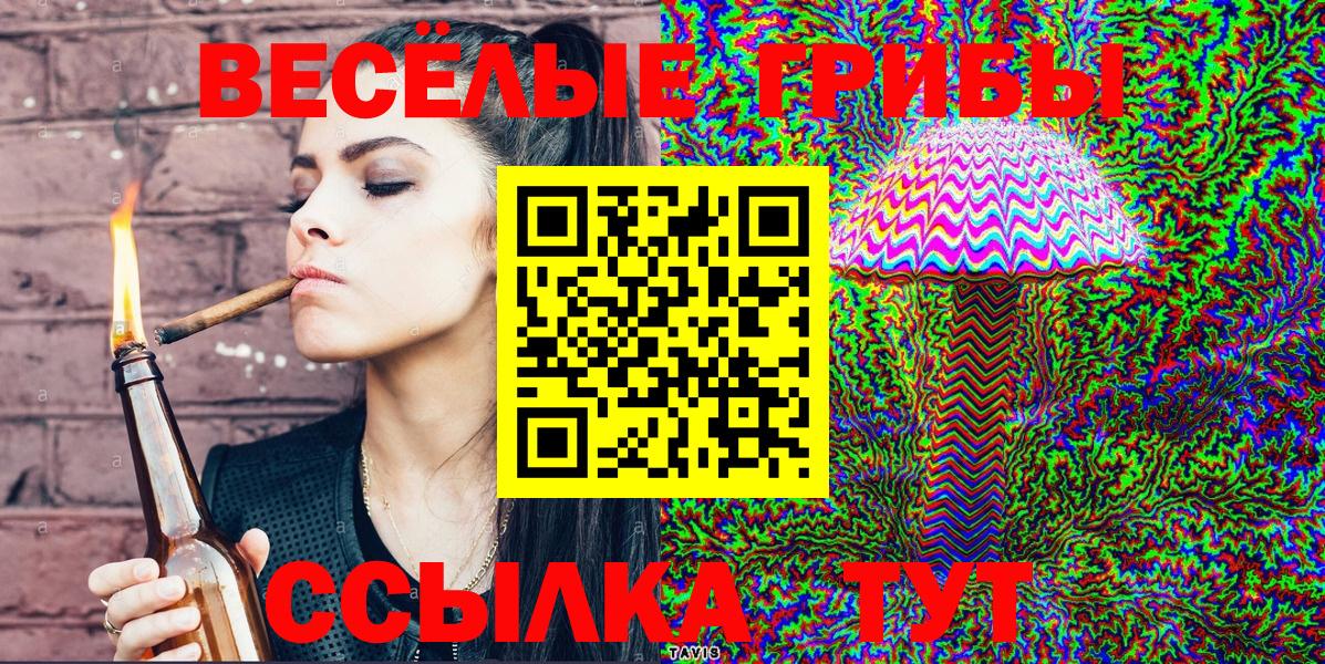 Чебоксары  Псилоцибиновые грибы Psilocybe  Вход с VPN  Галлюциногенные грибы Psilocybine cubensis 